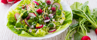 CREAMY NUT SALAD DRESSING